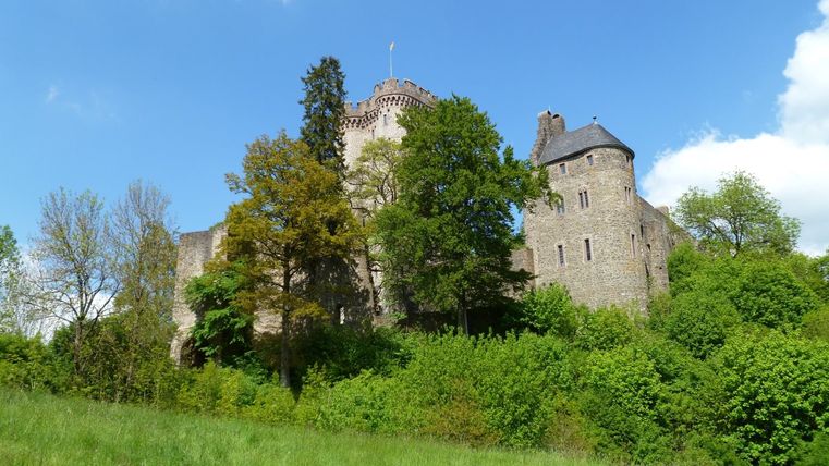 Blick auf die Kasselburg bei Pelm, umgeben von Bäumen und Wiesen, unter blauem Himmel.