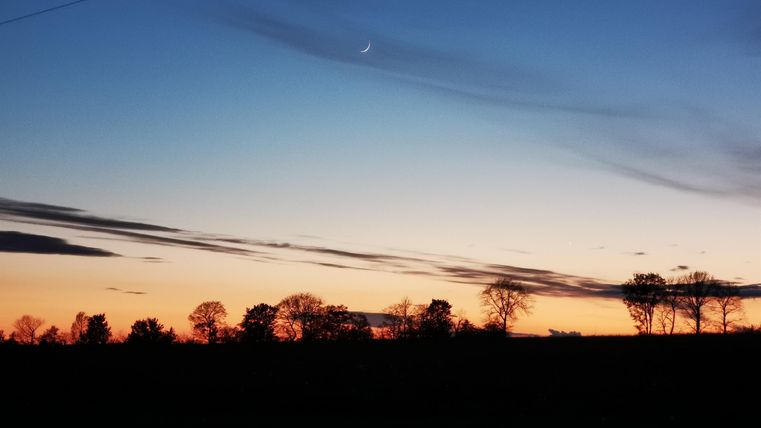 Een mooie zonsondergang met een oranje lucht en donkere silhouetten van bomen. De wolken zijn zacht verspreid en de sfeer is vredig.