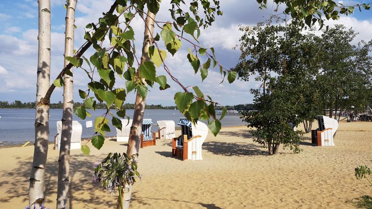Een mooi strand met strandstoelen en een ondiepe, zandige oever. Op de achtergrond zijn bomen en een kalme wateroppervlakte te zien.