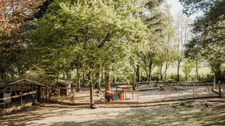 Een kleine boerderij met bomen en een omheind gebied voor dieren. Op de achtergrond zijn een schuur en een speeltuin te zien.