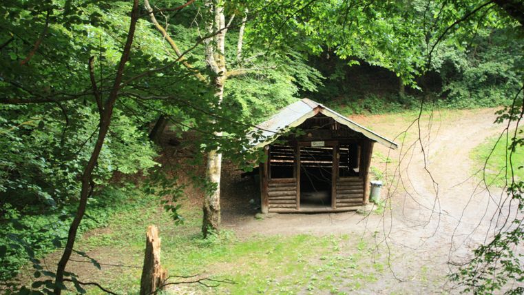 Eine kleine Holzütte im Wald, umgeben von grünen Bäumen. Der Weg führt in verschiedene Richtungen und ist von natürlicher Vegetation gesäumt.