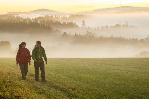 A couple walks hand in hand across a green meadow in the fog. In the background, forests and gentle hills are visible as the sun rises.