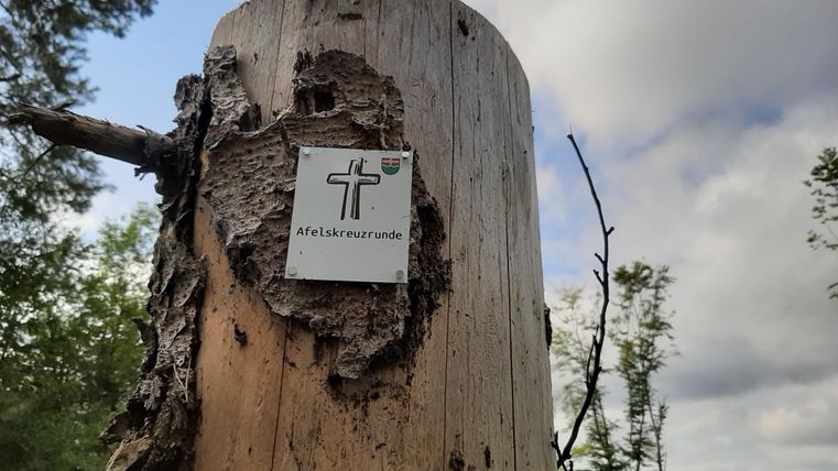 Ein Holzpfosten im Wald mit einem Schild, das eine Kreuzsymbolik zeigt. Die Umgebung ist grün mit einigen Wolken am Himmel.