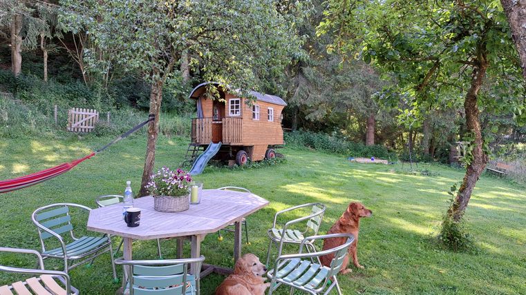 A cozy wooden cabin stands in a green garden, surrounded by trees. On the table sits a flower, and two dogs relax nearby.