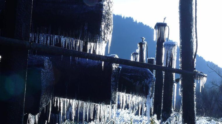 IJspegels hangen van houten staven in een winters landschap. De zon schijnt en creëert een sprankelende sfeer.