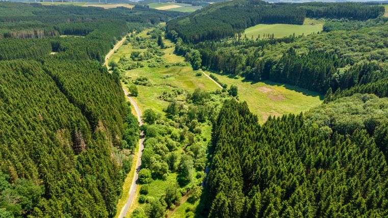 Eine malerische Waldlandschaft mit grünen Bäumen und einem klaren Himmel. Im Tal verläuft ein schmales Flusstal, umgeben von saftigem Grün.