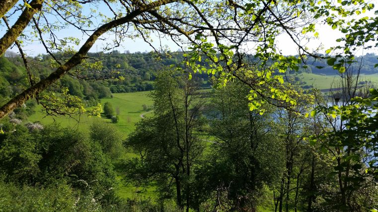 Eine grüne Landschaft mit Bäumen und Wiesen. Im Hintergrund ist ein See und der Himmel ist blau.