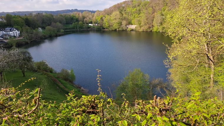 A tranquil lake surrounded by trees and gently rolling hills. Nature is green and inviting.