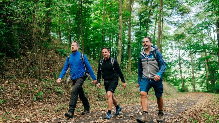 Drei Männer wandern auf einem Waldweg. Umgeben von grünen Bäumen und herbstlichem Laub.