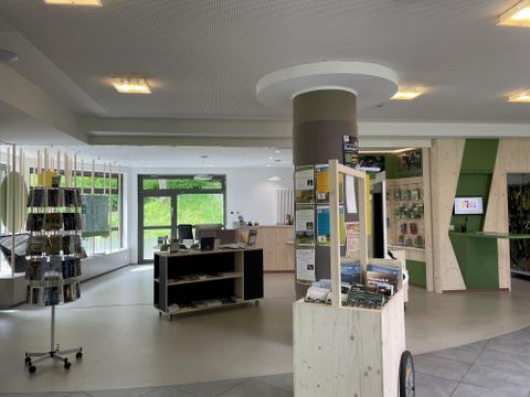 A modern reception area with a reception desk and information stands. Large windows let in plenty of light and offer a view outside.