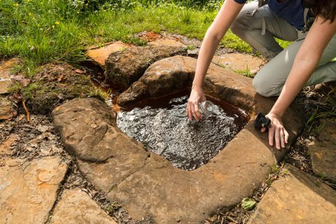 A person is drawing water from a natural spring in Steffeln. The spring is surrounded by stones and framed by grass.