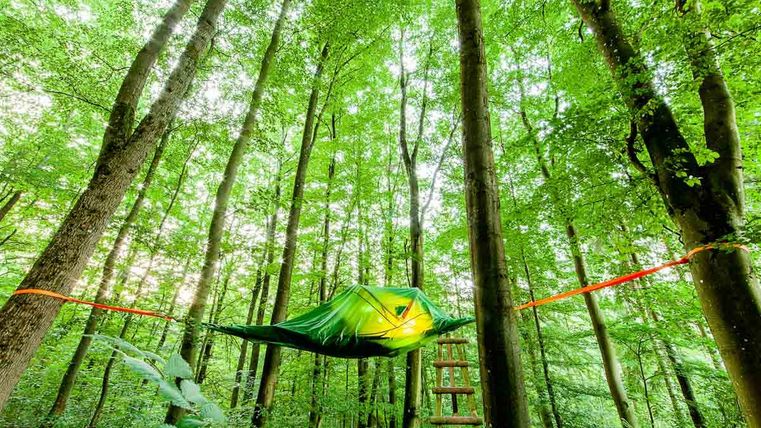 Tree tent in the forest
