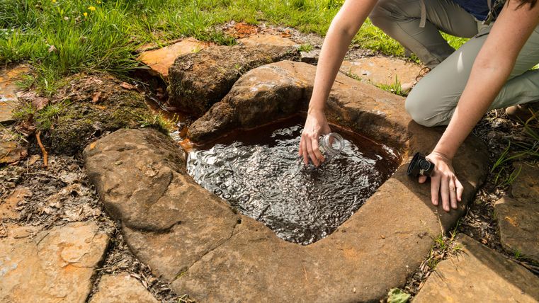 Eine Person schöpft Wasser aus einer natürlichen Quelle in einem steinernen Becken. Umgeben von Gras und gelben Blumen.