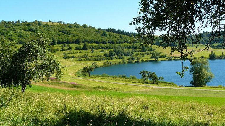 Ein malerischer Landschaftsausblick mit saftigem Grün und einem ruhigen See. Im Hintergrund sind sanfte Hügel und ein klarer blauer Himmel zu sehen.