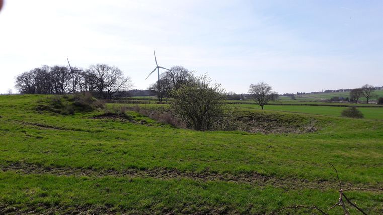 A peaceful landscape with green meadows and scattered trees. Wind turbines and a clear sky can be seen in the background.