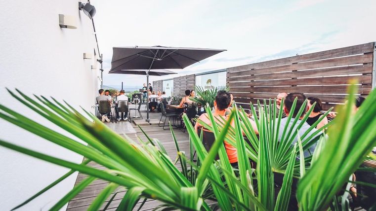Eine sonnige Dachterrasse mit Gästen, die an Tischen sitzen. Im Vordergrund sind grüne Pflanzen zu sehen, die eine entspannte Atmosphäre schaffen.