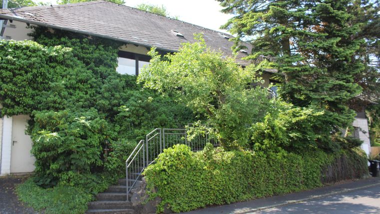 Ein Gebäude, das von üppigem Grün umgeben ist. Die Pflanzen wuchern über die Treppe und verleihen der Szene eine natürliche Atmosphäre.