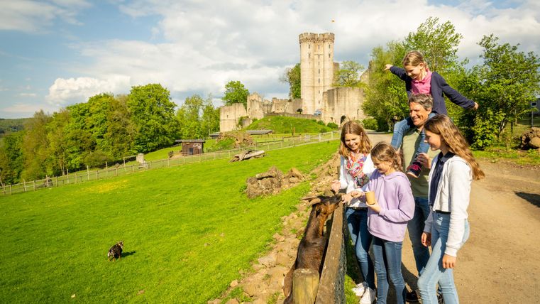 Eine Familie füttert eine Ziege vor einer Burg. Im Hintergrund grüne Wiesen und Bäume, der Himmel ist leicht bewölkt.