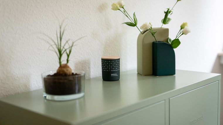 Ein eleganter Tisch mit verschiedenen Pflanzen und dekorativen Objekten. Die Farbpalette ist in sanften Grüntönen gehalten und vermittelt eine ruhige Atmosphäre.