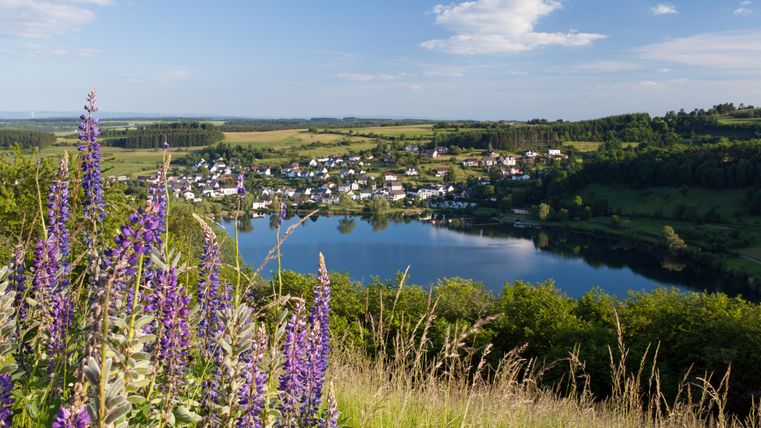 Eine malerische Landschaft mit lila Blumen im Vordergrund und einem ruhigen See. Im Hintergrund sind kleine Häuser und grüne Hügel zu sehen.