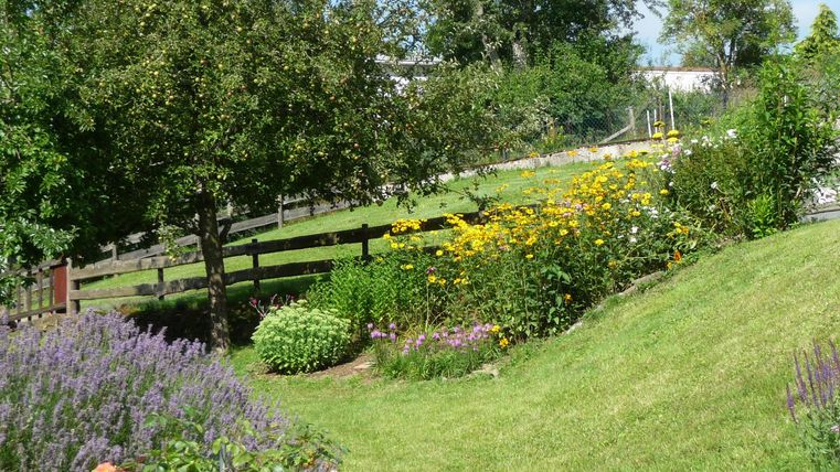 Een mooie tuin met kleurrijke bloemen en weelderig gras. Achtergrond staan bomen en een hek.
