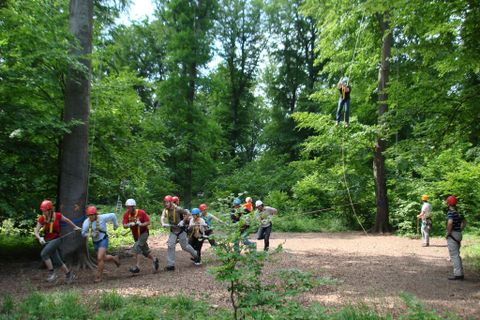 A group of people in a forest is participating in a team activity. Some are climbing while others support them and pull on ropes.