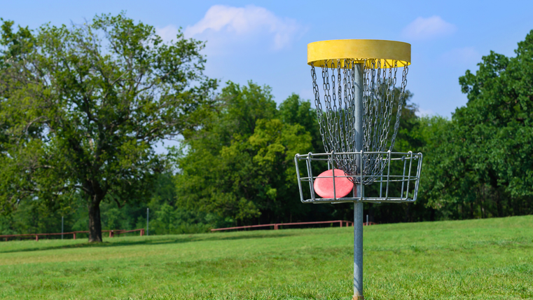 A disc golf basket stands in a green meadow. Trees and a clear sky are visible in the background.