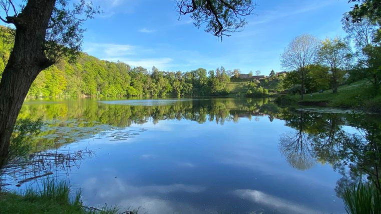Een rustige meer omringd door weelderig groen en bomen. De lucht is blauw en weerspiegelt zich in het water.