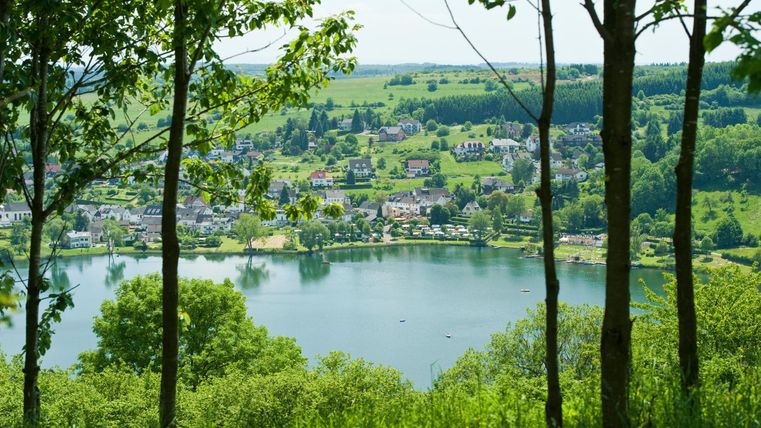 Eine malerische Landschaft mit einem See und umgebenden Bäumen. Im Hintergrund ist ein kleines Dorf zu sehen.