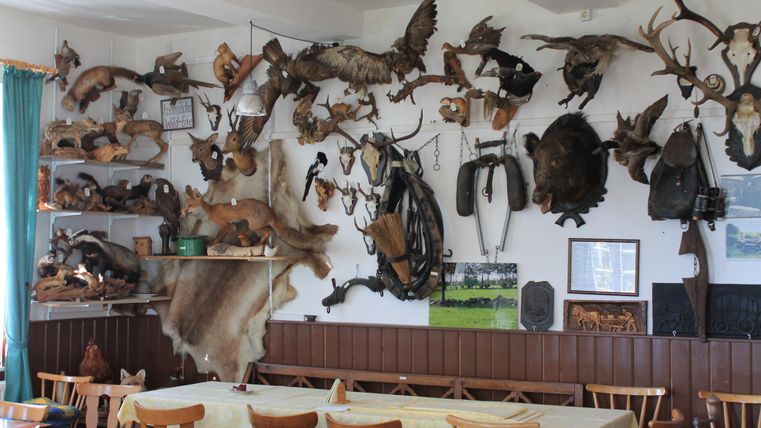Ein rustikales Zimmer mit Holztischen und Stühlen. An den Wänden hängen verschiedene Jagdtrophäen und Tierhäute.