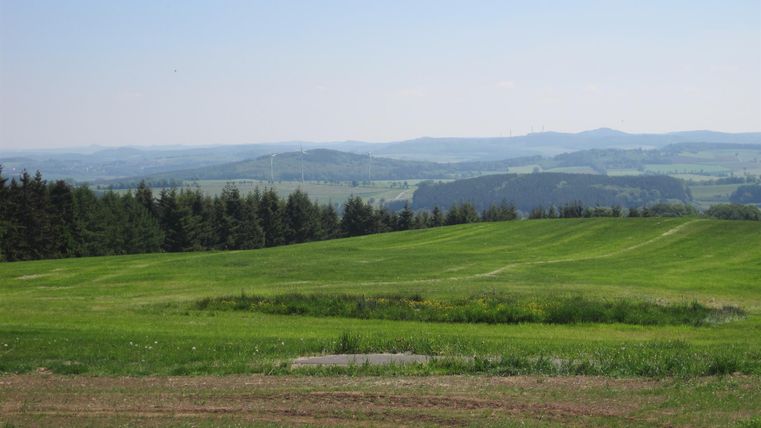 Green meadows and forests in the Eifel, with wind turbines in the distance under a blue sky.
