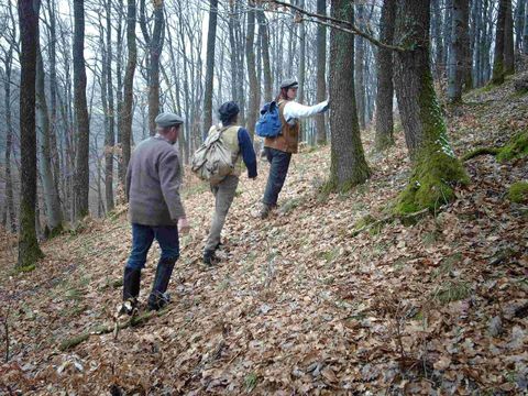 Drei Personen wandern durch einen Wald mit herbstlichem Laub. Die Bäume sind kahl und die Atmosphäre ist ruhig und naturverbunden.
