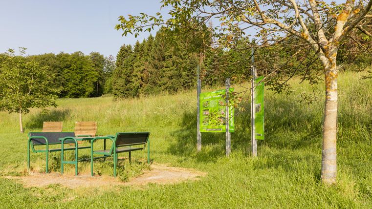 Es gibt einen kleinen Sitzbereich mit grünen Stühlen und einer Bank in einer grünen Wiese. Im Hintergrund stehen zwei Info-Tafeln.