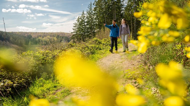 Twee personen wandelen op een schilderachtig pad omringd door groene bomen en gele bloemen. De zon schijnt en de lucht is blauw met enkele wolken.