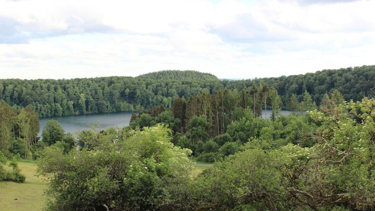 A tranquil landscape with a lake, surrounded by forests. The sky is overcast and the vegetation is lush green.