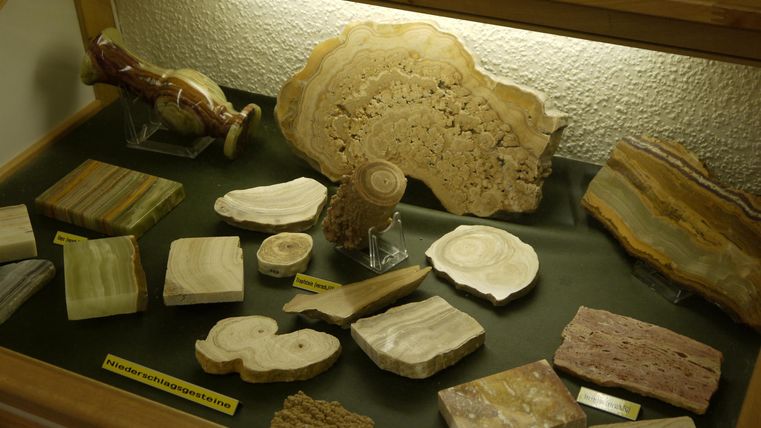 Eine Sammlung von verschiedenen Gesteins- und Holzproben. Die Stücke sind sorgfältig präsentiert und beleuchtet.