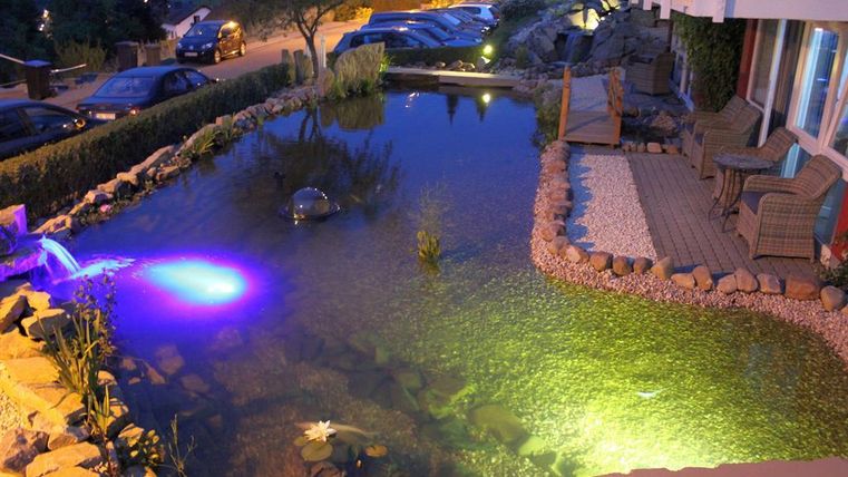 Ein schöner Teich mit sanftem Licht und grünen Pflanzen. Im Hintergrund sind Autos geparkt und eine Terrasse zu sehen.