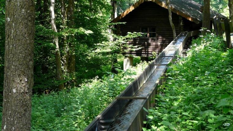 An old wooden house surrounded by dense forest. Next to the house, a stream runs through the green vegetation.