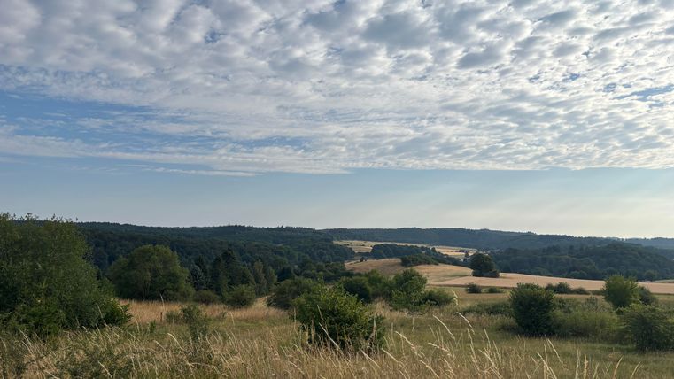 On an early summer morning in Rohr