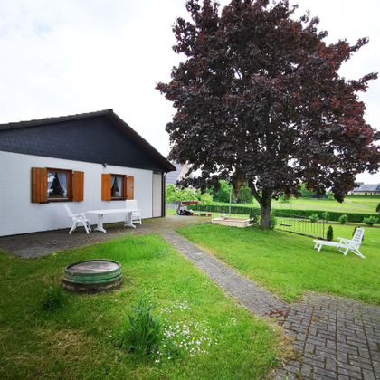 Een gezellig huis met een grote boom in de tuin. De omgeving is groen en uitnodigend, ideaal om te ontspannen.