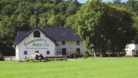 A cozy holiday home with a large green garden. Surrounded by trees and a quiet landscape.