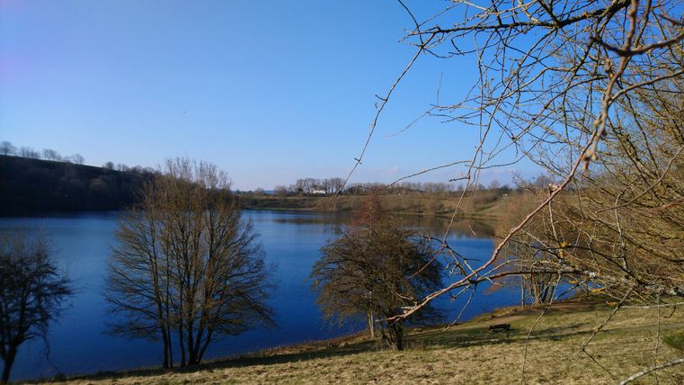 Een rustige meer omringd door bomen en een heldere blauwe lucht. Het landschap straalt een vredige natuur uit.