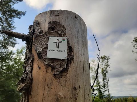 Ein Holzpfosten im Wald mit einem Schild, das eine Kreuzsymbolik zeigt. Die Umgebung ist grün mit einigen Wolken am Himmel.
