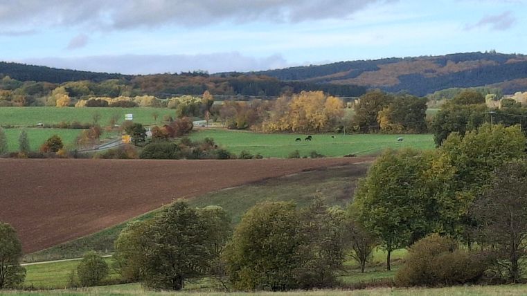 Eine malerische Landschaft mit sanften Hügeln und buntem Herbstwald. Im Vordergrund sind Bäume und Ackerland zu sehen.