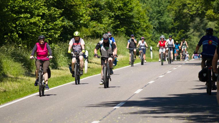 Een groep fietsers rijdt op een landweg. De omgeving is groen en omgeven door bomen.