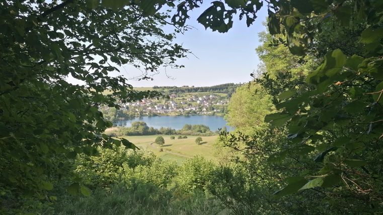 A beautiful view of a lake, surrounded by trees and vast meadows. In the background, houses and gentle hills can be seen.