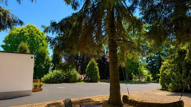 Ein ruhiger Garten mit hohen Bäumen und grünem Laub. Im Hintergrund ist ein gepflasterter Weg zu sehen.