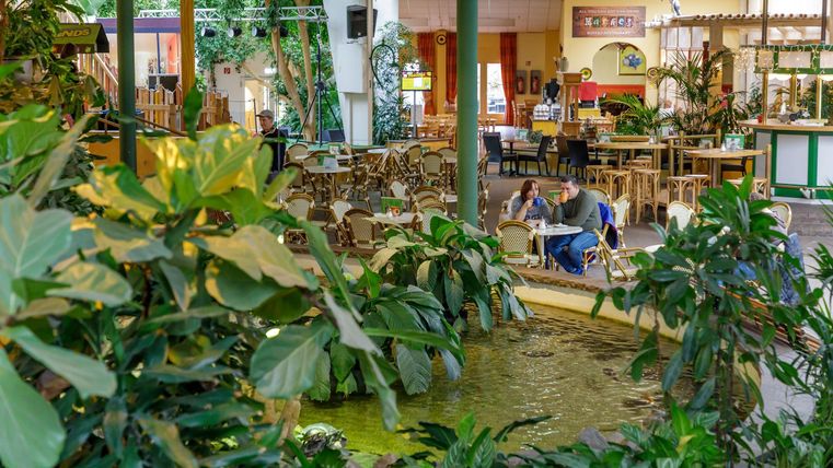 A cozy café with many plants and a small pond. Guests sit at tables and enjoy the relaxed atmosphere.