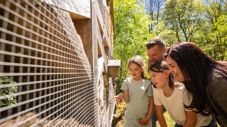 Een gezin kijkt enthousiast naar dieren achter een hek. Het is een zonnige dag en de natuur om hen heen is groen en uitnodigend.