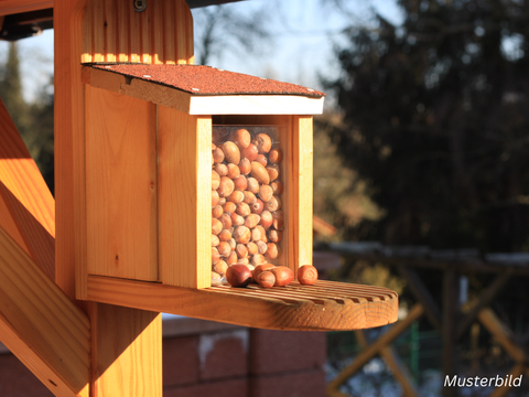 Ein Holzfutterspender voller Haselnüsse hängt im Freien. Sonnenlicht beleuchtet die Szene. Im Hintergrund sind Bäume zu sehen.